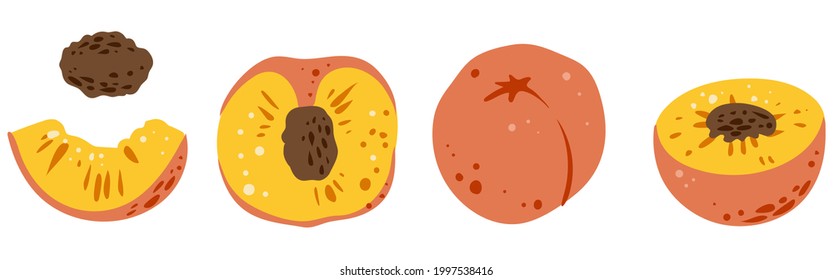 Conjunto de melocotones, color, vector