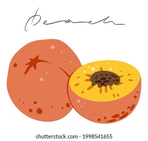Set of peaches, color, vector