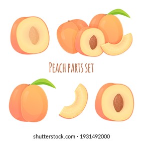 Set of peaches in different shapes, slice, half with seed and without , whole fruit. Can be used fo healthy diet, harvest natural eco food concept. Stock vector illustration in realistic cartoon style