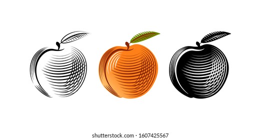 Set peaches icon, vector illustration. Peach gravure style. Peach isolated on white background.