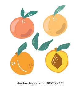 Set of peaches with leaves. Modern fruit illustration.