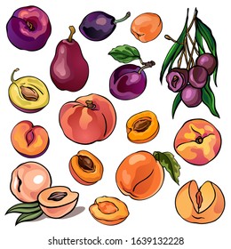 Set of peaches, pears, plums, apricots. Whole fruits and pieces. Tasty and healthy vegetarian food. Collection of vector stock illustrations. Hand drawn, colorful, isolated.