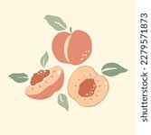 Set of peaches vector with leaves. Half, slice and whole shape of peach, nectarine, apricot. Peaches isolated. Flat design of peaches illustration for fabric, paper, wallpaper, cover, interior decor