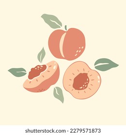 Set of peaches vector with leaves. Half, slice and whole shape of peach, nectarine, apricot. Peaches isolated. Flat design of peaches illustration for fabric, paper, wallpaper, cover, interior decor