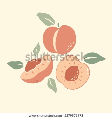 Set of peaches vector with leaves. Half, slice and whole shape of peach, nectarine, apricot. Peaches isolated. Flat design of peaches illustration for fabric, paper, wallpaper, cover, interior decor