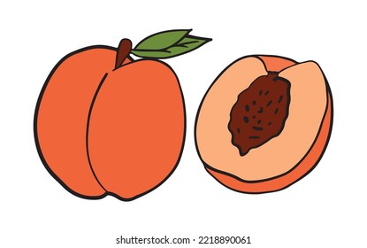 A set of peaches, whole and cut. Colored isolated objects on a white. Cartoon vector, hand drawn illustration