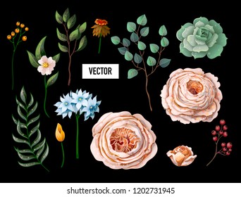Set of peachy English roses and other flowers isolated.