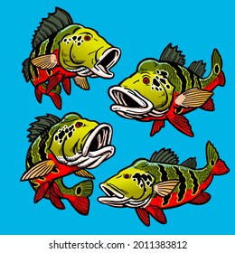 set of peacock bass gamefish bundle collection