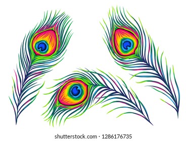 Set of peacock feathers. Color hand drawn exotic bird plumage.