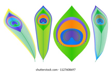 A set of peacock feathers in different angles. Vector Pattern. Perfect for backgrounds, wallpapers, textiles. Completed without the use of a gradient.