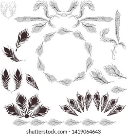 Set with peacock feathers. Frame and border. Vector hand drawing illustration. Wrapping paper, textile and background design.