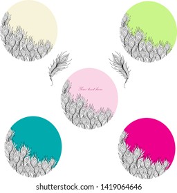 Set with peacock feathers. Frame colorful. Vector hand drawing illustration. Wrapping paper, textile and background design.