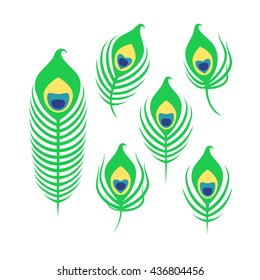 Set of peacock feathers isolated on white background. Art vector illustration