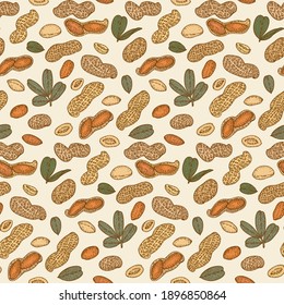 Set with Peanut, nuts and leaves. Graphic hand drawn engraving style. Botanical illustration for packaging, menu cards, posters, prints.	
