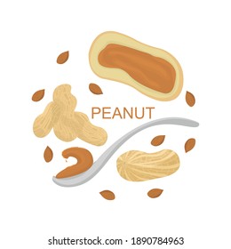 Set of peanuts, nuts, vector illustration in flat style