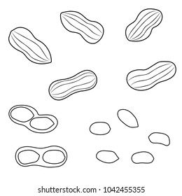 Set of peanuts on a white background. Vector illustration.