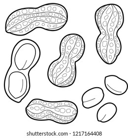 Set of peanuts on white background. Vector black and white coloring page.