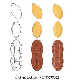 Set of peanuts in three styles - outline, flat, cartoon. nut icons for design and web isolated on white background.