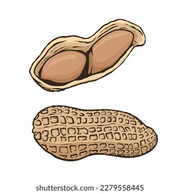 set of peanuts vector design