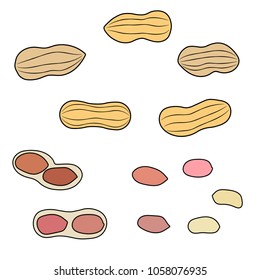 Set of peanuts. Vector illustration.