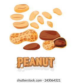 set of peanuts - vector illustration