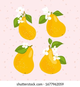 Set of Pear fruit composition. Greeting card, invitation, wallpaper, stationery, packaging design. Vector  Hand drawn illustration.