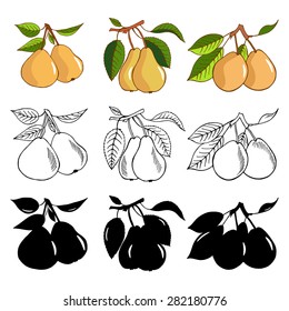 Set of pear.  A healthy diet is a flat style of illustration. Isolated green food, can be used in the restaurant's menu, cooking the books, organic farming labels, packaging