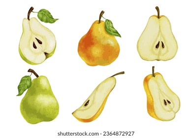 Set of pears and fruit pieces.Vector graphics.