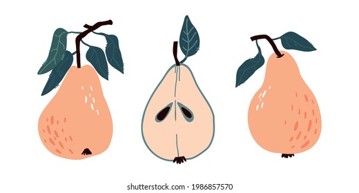 set with pears and half a pear, pear leaves. Food background. childrens colorful cute illustration. Flat vegetables on white. Vegan, farmed, natural