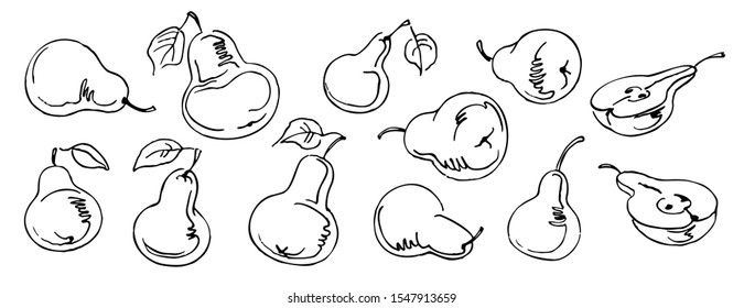 set of pears and halves of pears ink black line on white background hand-drawn sketch