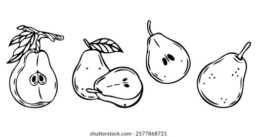 Set of pears in hand-drawn sketch style. Fruit illustration in vector. Outline with transparent background.