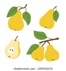 Set of pears isolated on white background. Vector fruit illustration.