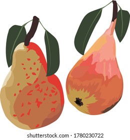 
set of pears in red and yellow shades