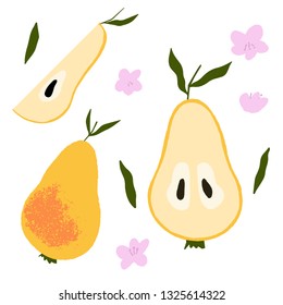 Set of pears, slices of pears, flowers and leaves. Colorful juicy fruit pears. Vector hand drawn element on white background for your design.