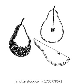 Set of pears, whole fruit, half and slice, vector illustration, hand drawing