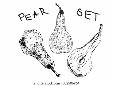 Set of pears.Black and white sliced pears. Isolated vector illustraition