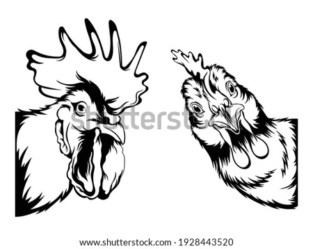 Set of peeking farm bird. Collection of funny heads of hen and rooster. Country house. Vector illustration of ridiculous village animals.