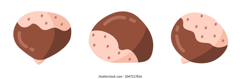 A set of peeled chestnuts. Vector illustration isolated on white background.