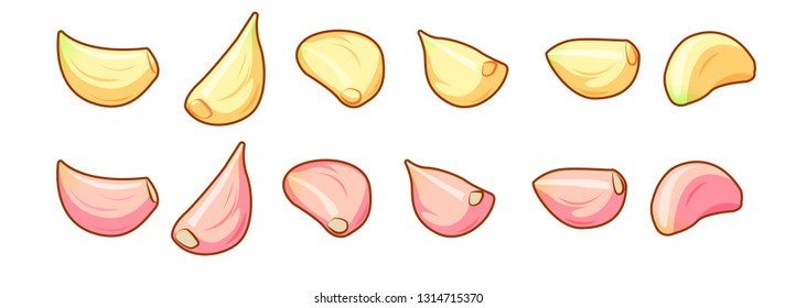 Set of peeled and unpeeled raw garlic cloves isolated on white background front isometric view.