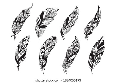 Set of peerless decorative feather illustration