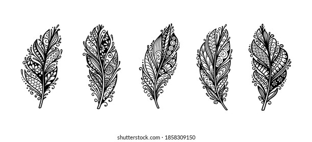 Set of peerless decorative feather illustration