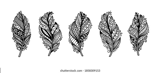 Set of peerless decorative feather illustration