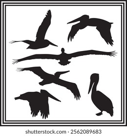 Set of pelican bird silhouette vector illustration.