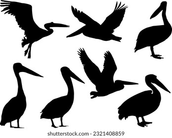 Set of Pelican Birds Silhouette Vector Art