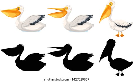 Set of pelican character illustration