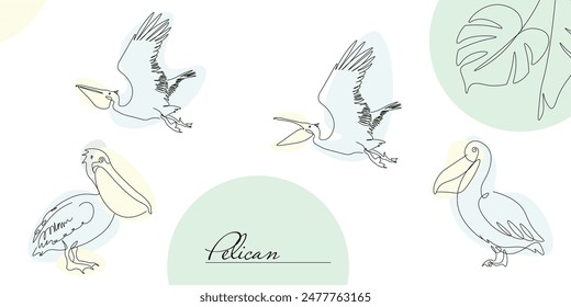 Set of pelican character illustration