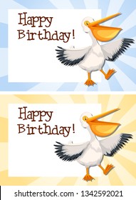 Set of pelican on birthday template illustration