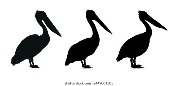 Set of pelican silhouette isolated	