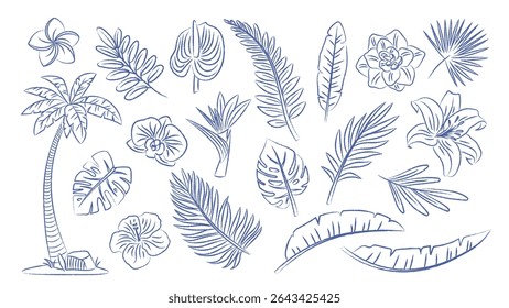 Set of pen drawn tropical leaves and plants. Palm branches, fern, exotic flowers. Vector contour elements