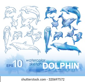 Set of pencil sketches and watercolor images of dolphins. Vector illustration.